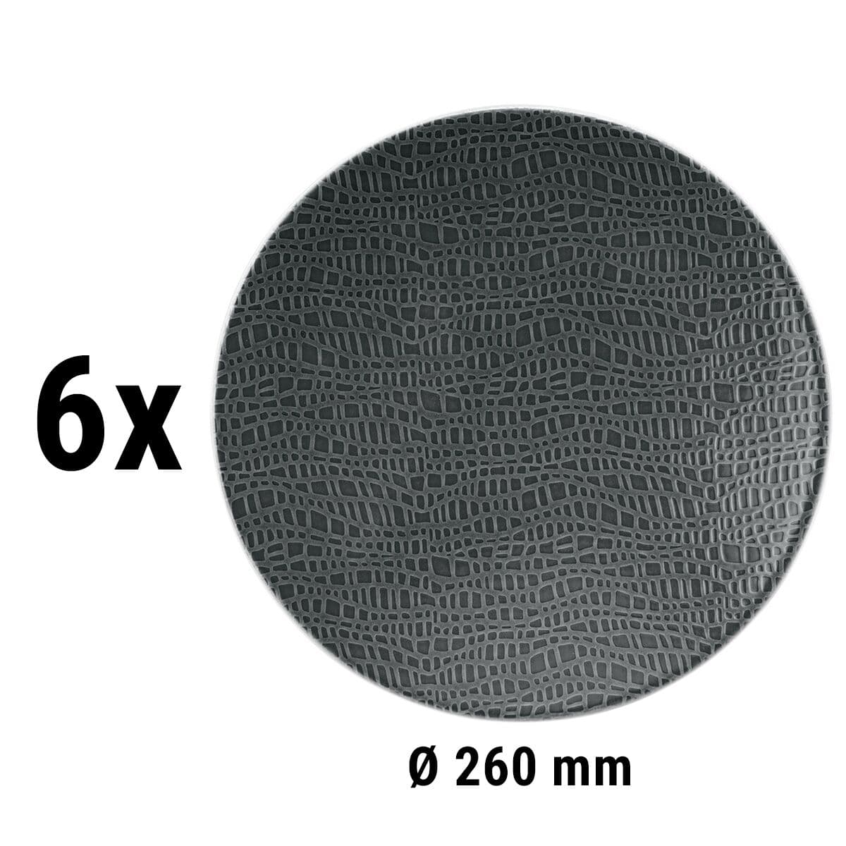 (6 Stück) SELTMANN WEIDEN | Coupteller flach - Ø 260mm