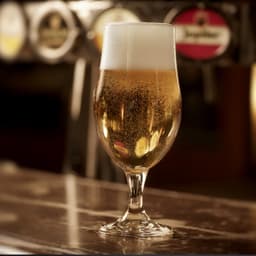 (12 Stück) Bierglas - BEER SPECIALS - 490 ml - Transparent