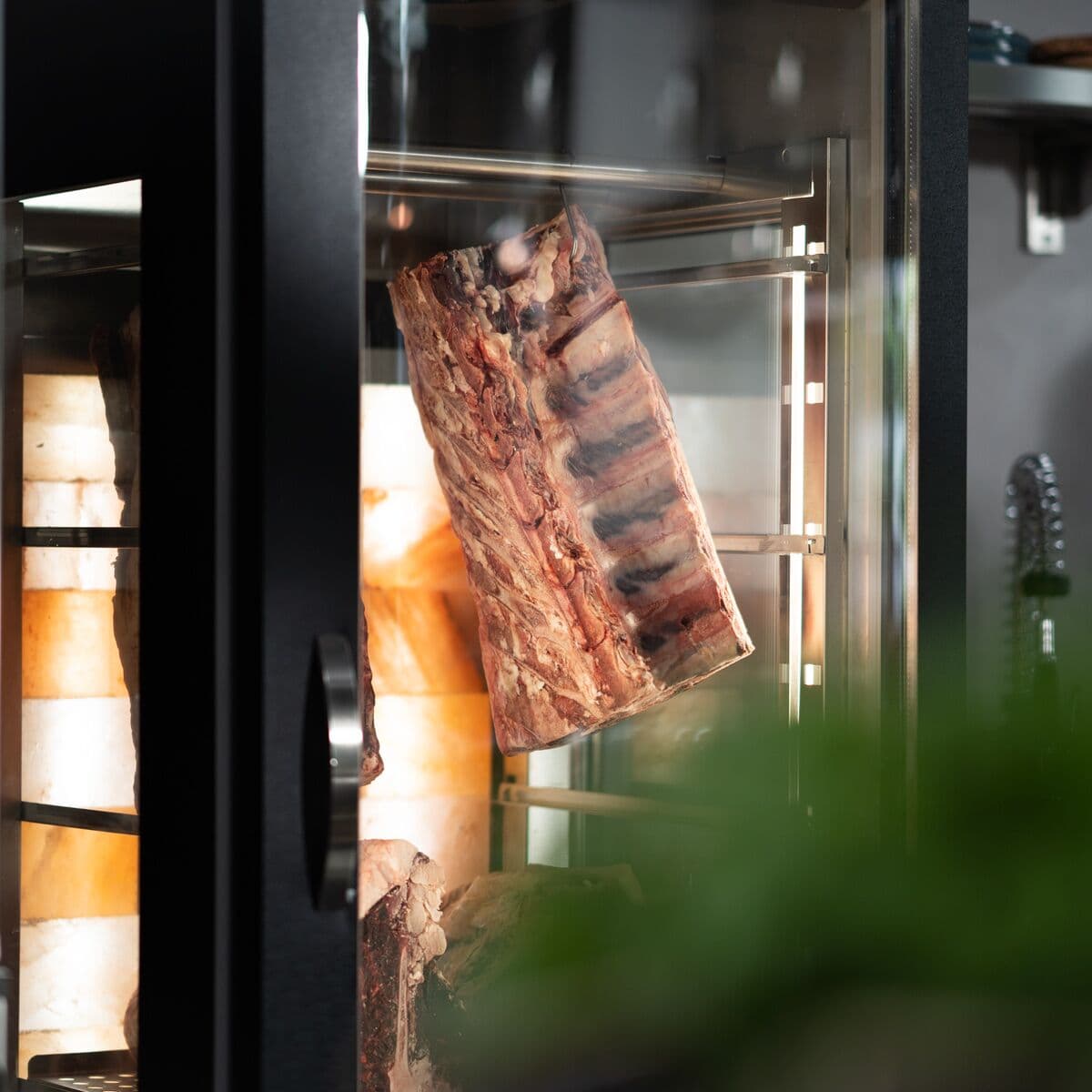 Dry Aging Fleischreifeschrank - 700mm - mit 1 Glastür - Schwarz