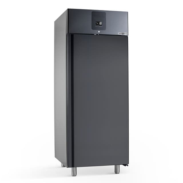 Eistiefkühlschrank Edelstahl Premium PLUS - 745x870mm - 650 Liter - mit 1 Tür