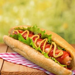 Hot Dog Steamer / Würstchenwärmer - 1,1 kW - mit 4 Heizdornen für Brötchen