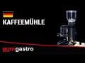 Kaffeemühle - Edelstahl Korpus - 2kg - 356 Watt - 77dB