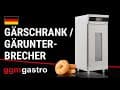 Bäckerei Gärautomat PREMIUM - 800x980mm - 1 Tür - für Fermentation